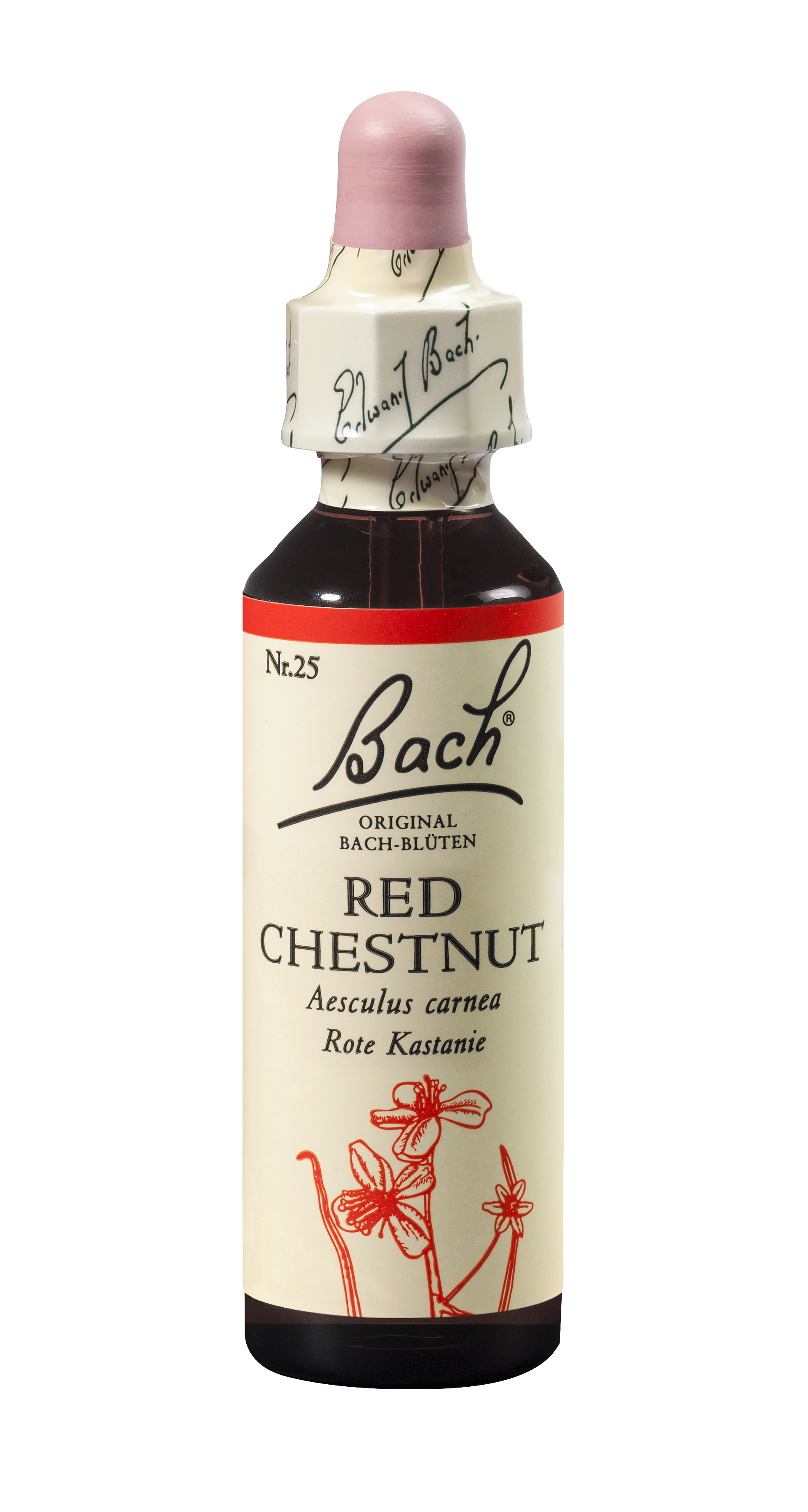 Bach®-Blüte Nr. 25 Red Chestnut (Rote Kastanie)
