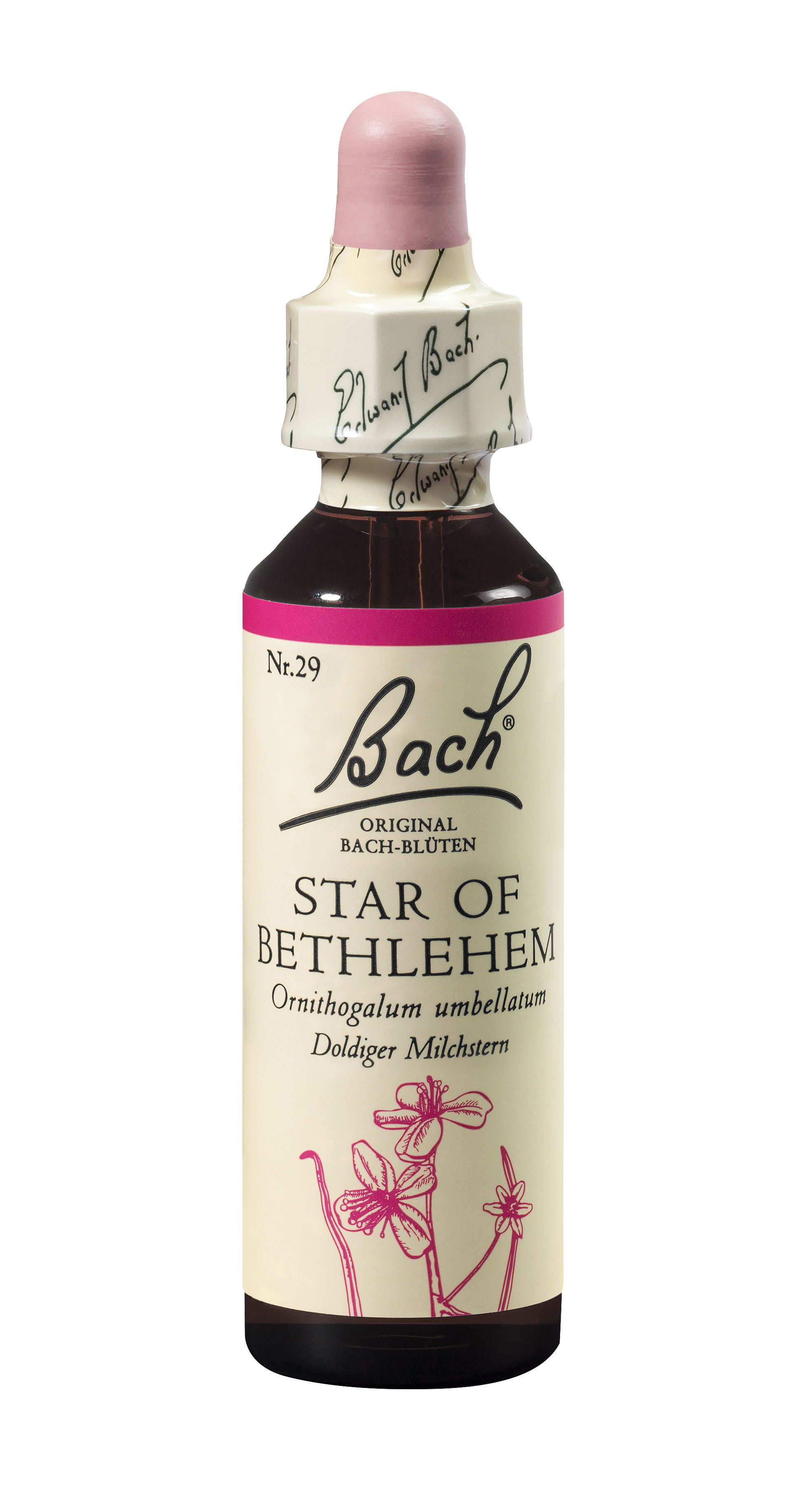 Bach®-Blüte Nr. 29 Star of Bethlehem (Doldiger Milchstern)