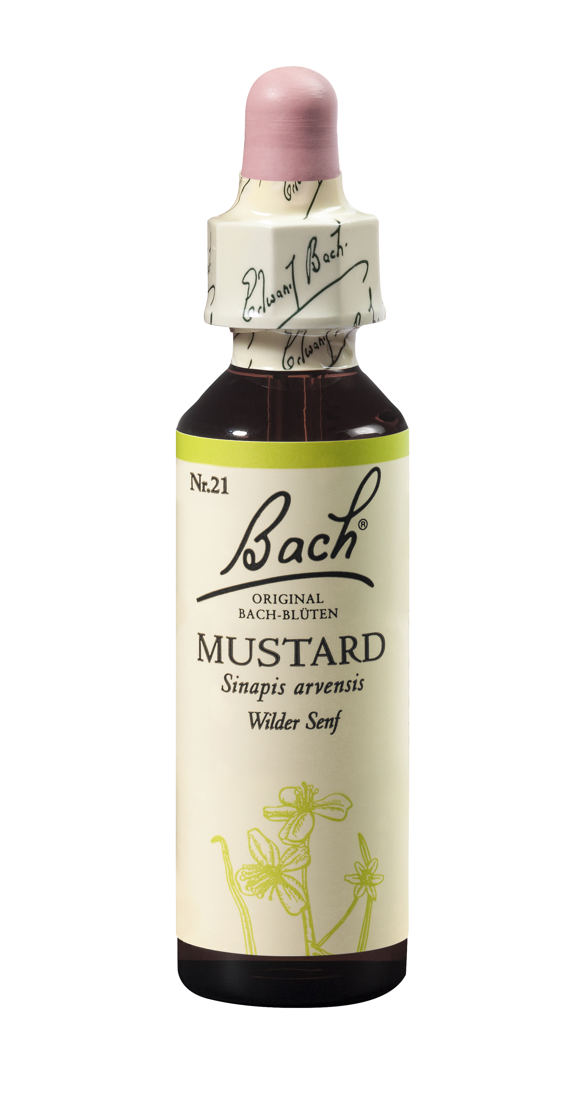 Bach®-Blüte Nr. 21 Mustard (Wilder Senf)