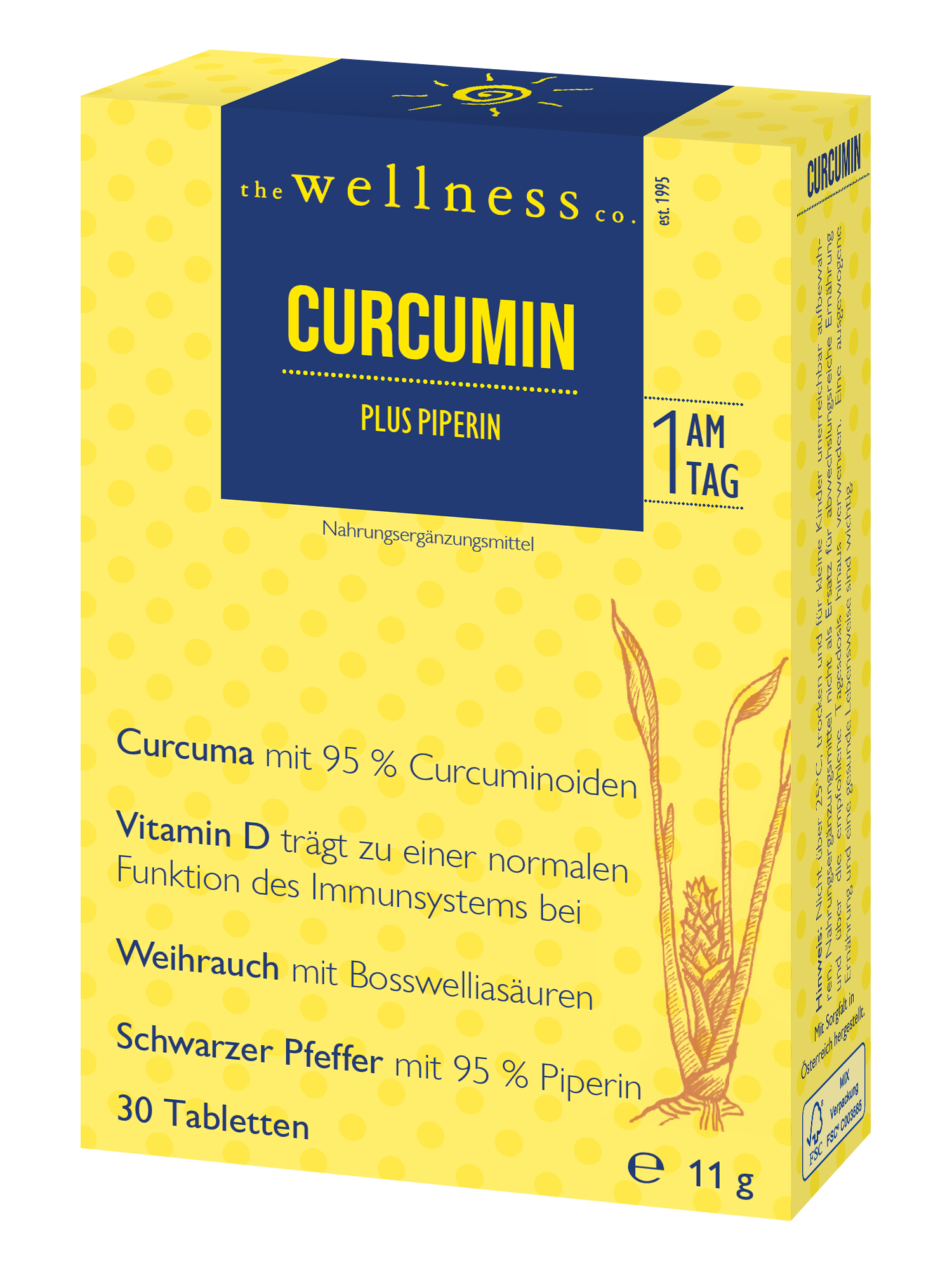 CURCUMIN + PIPERIN + WEIHRAUCH + VIT D