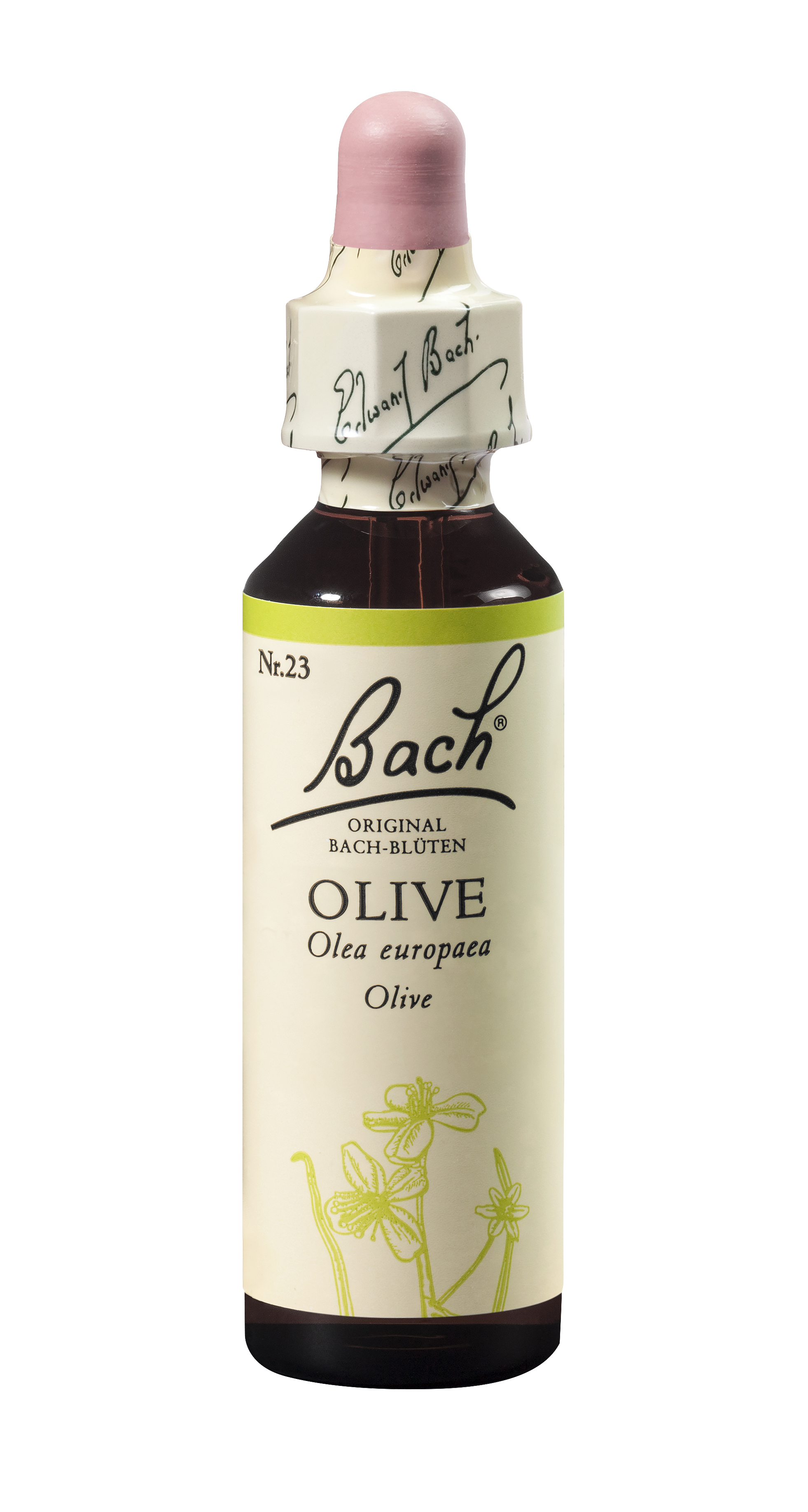 Bach®-Blüte Nr. 23 Olive (Olive)