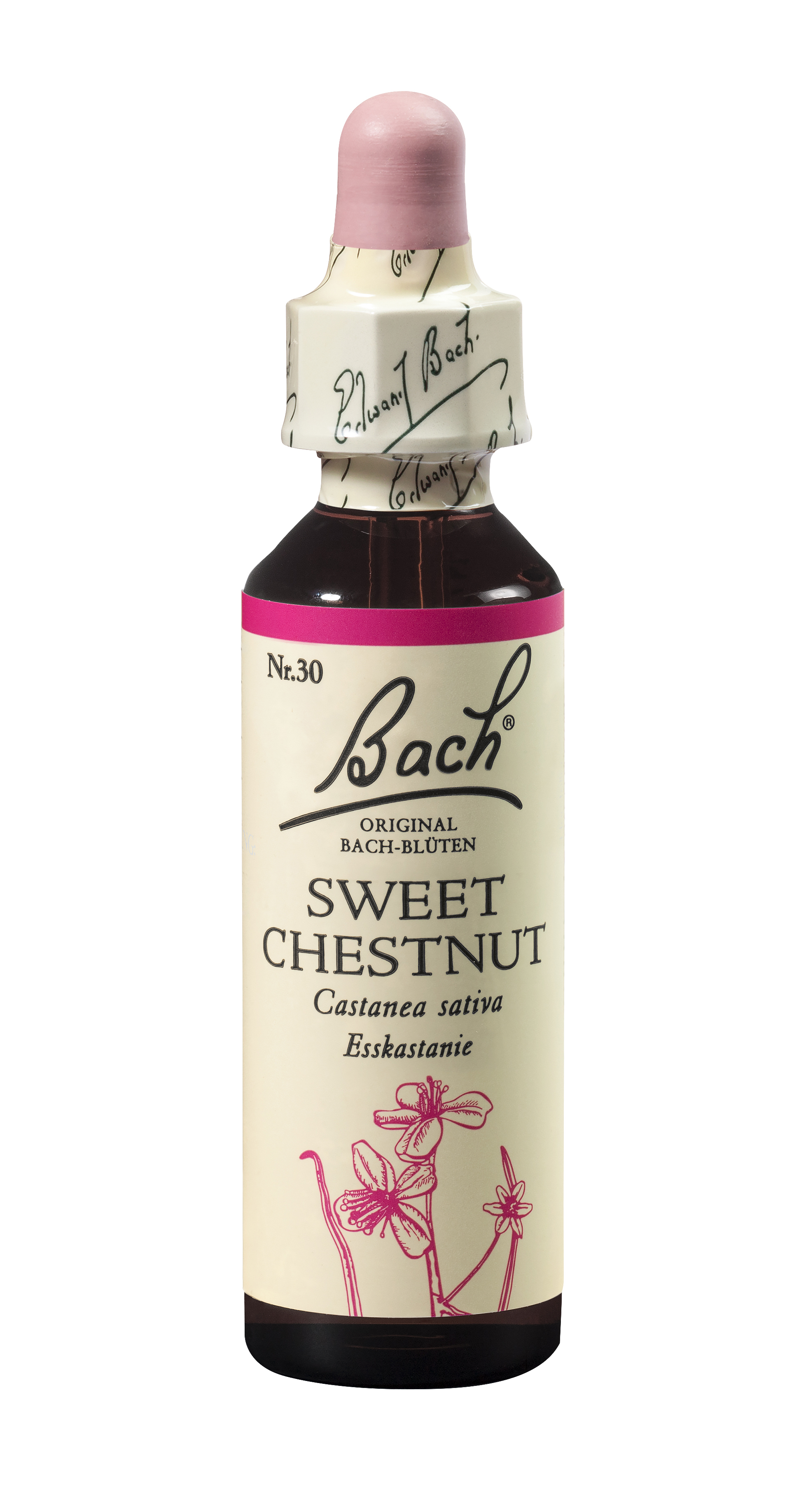 Bach®-Blüte Nr. 30 Sweet Chestnut (Esskastanie)