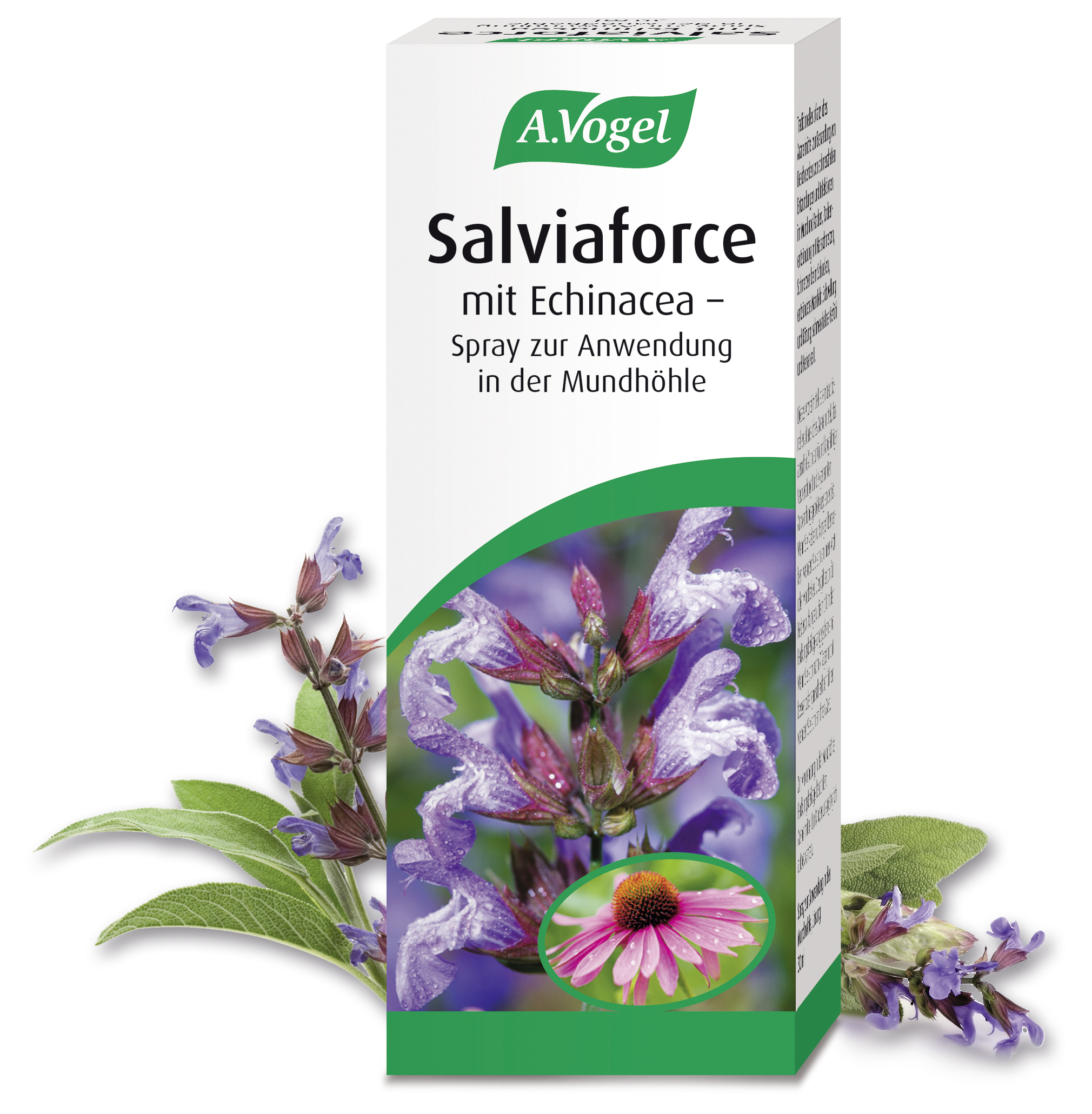 Salviaforce mit Echinacea - Spray zur Anwendung in der Mundhöhle