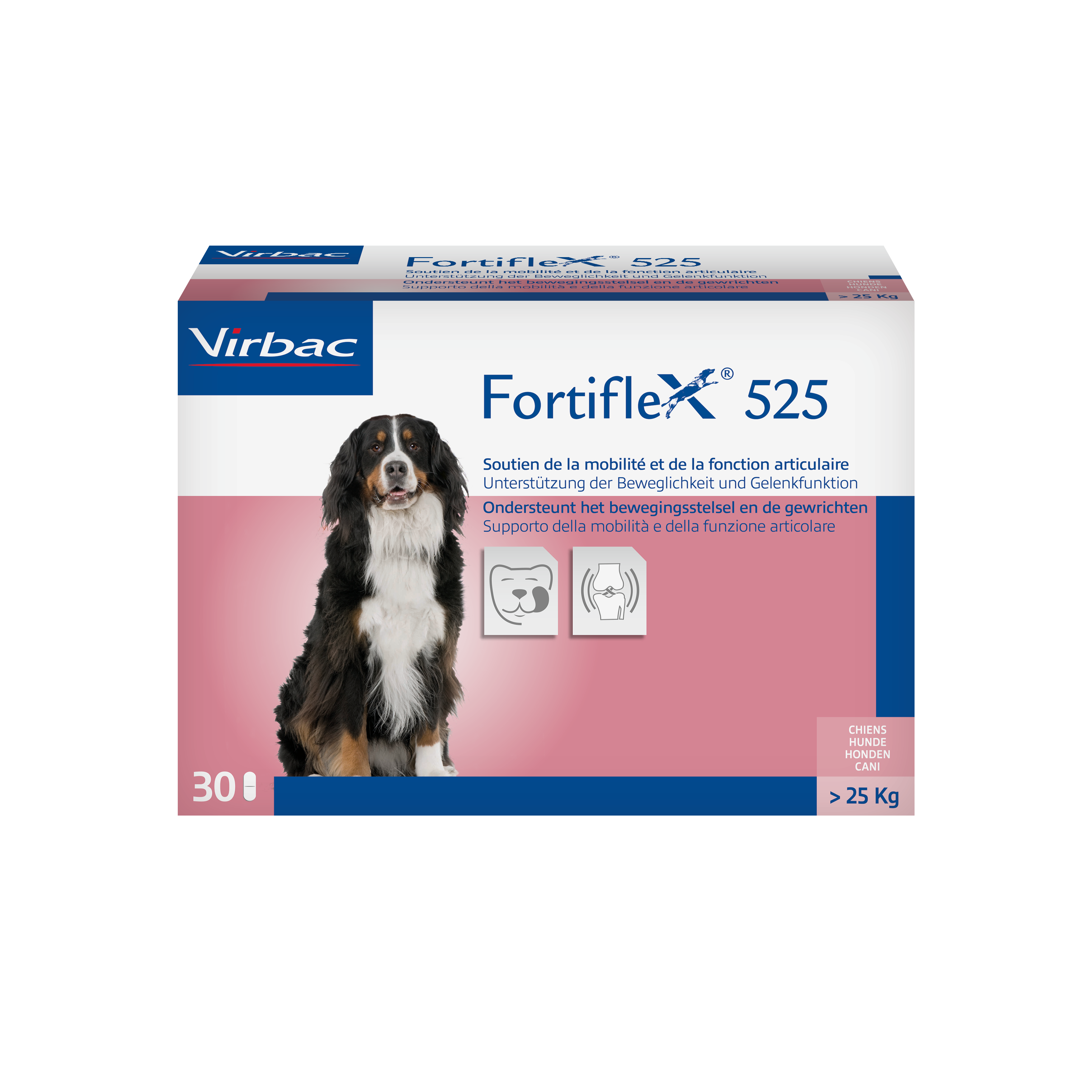 Fortiflex 525mg - Ergänzungsfuttermittel für Hunde