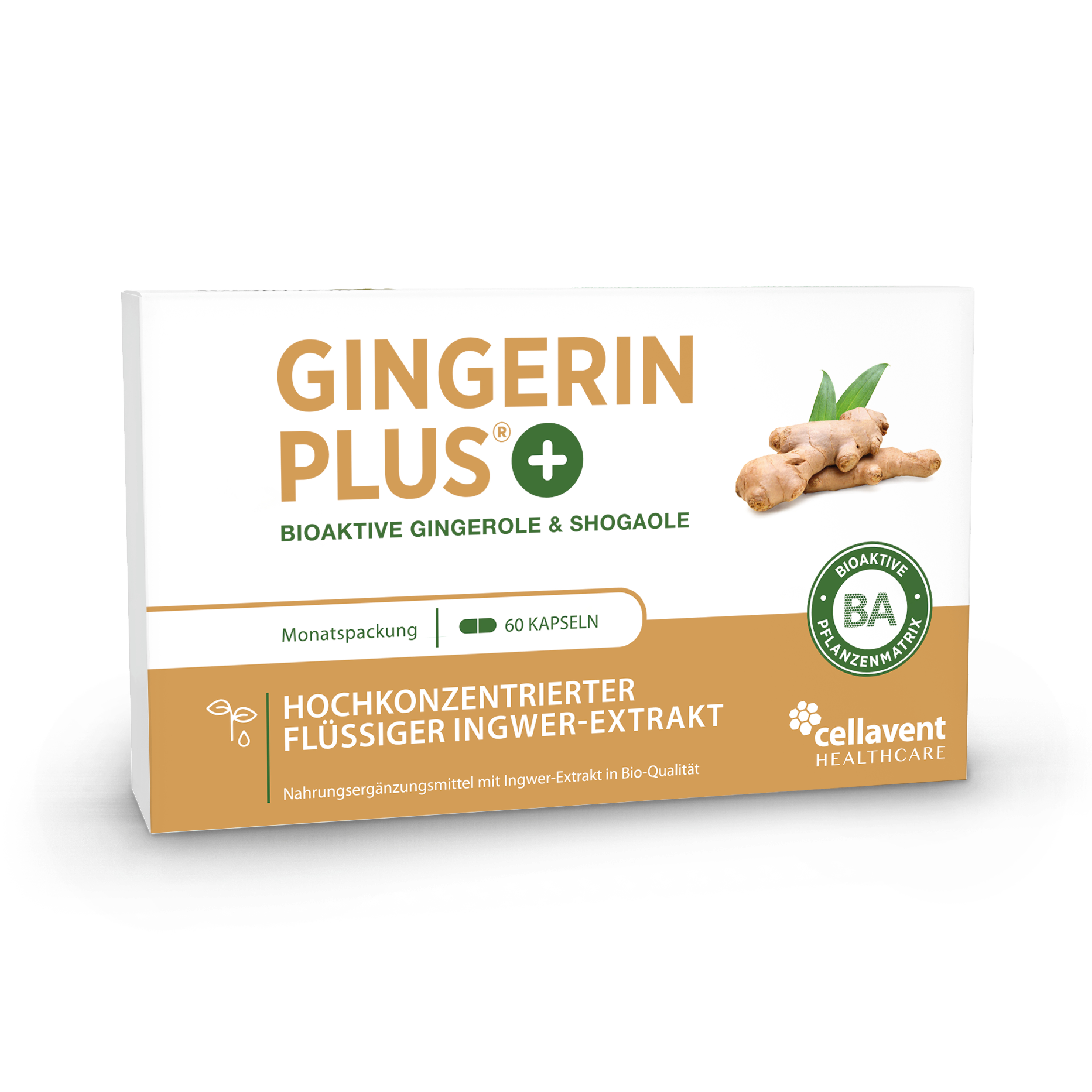 Ingwer Kapseln - Bio Ingwer-Extrakt - flüssig - Gingerol & Shogaol hochdosiert