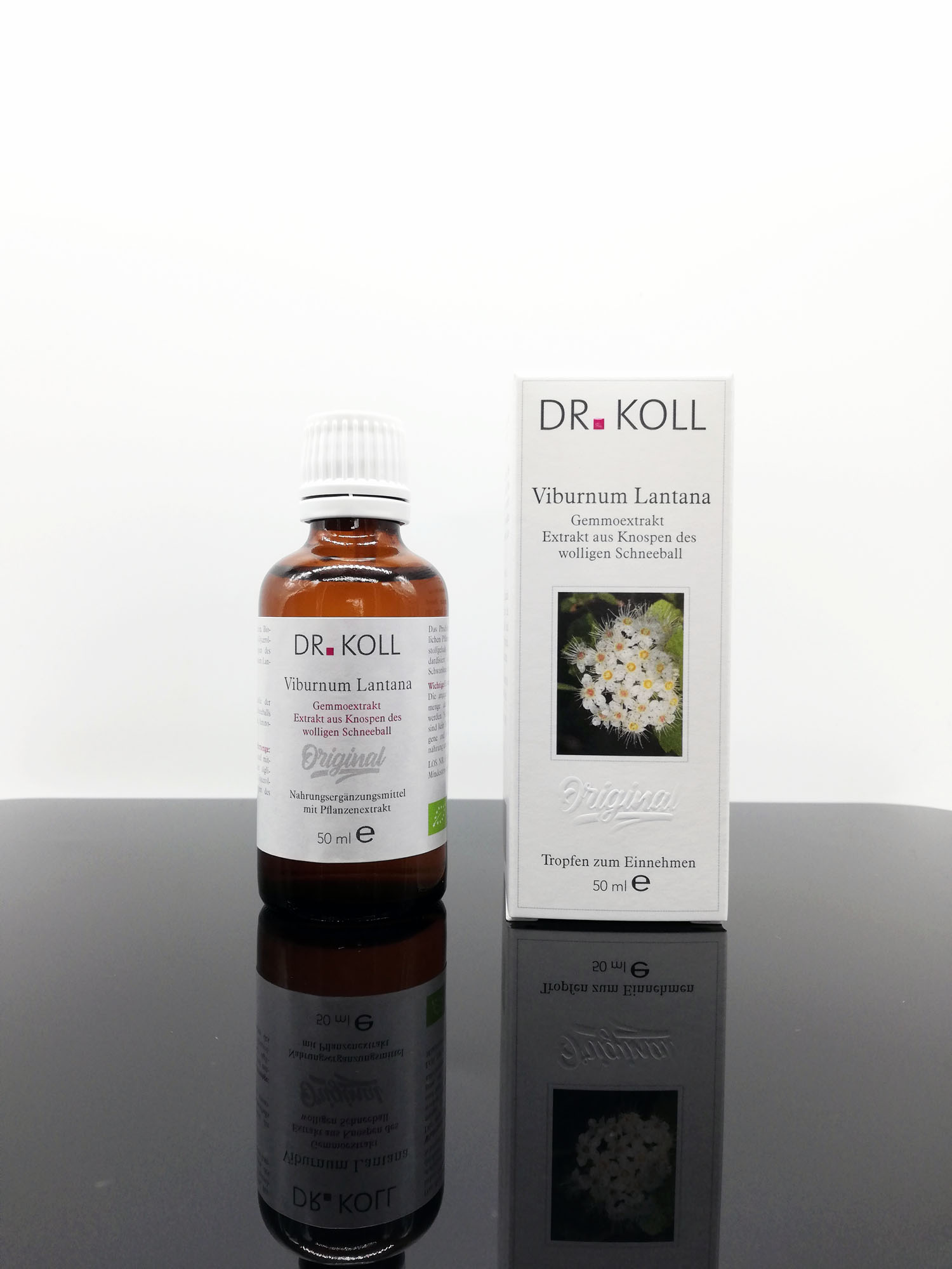 Flasche mit Tropfen "Viburnum Lantana" von Dr. Koll neben der Verpackung auf schwarzem Untergrund.
