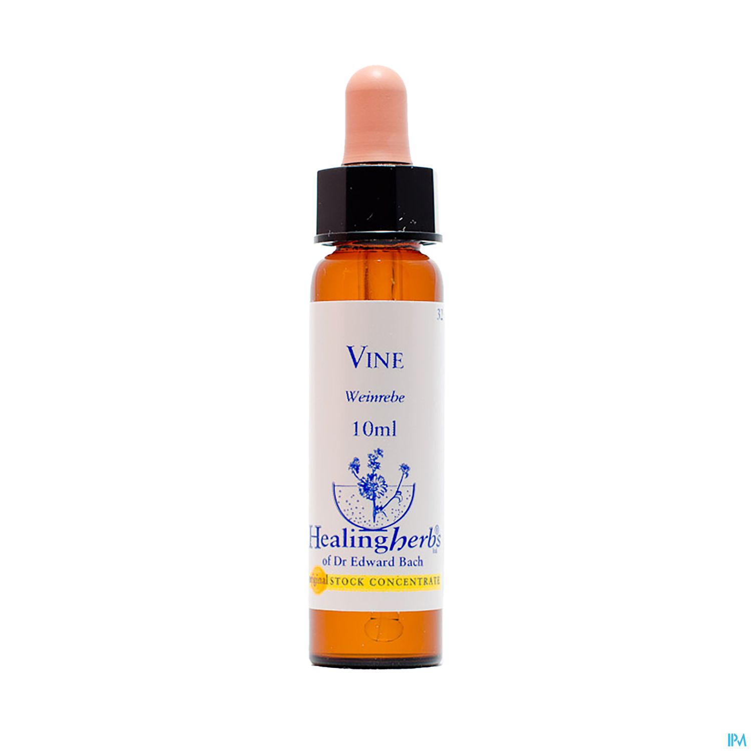 Braunflasche mit Pipette, etikettiert mit "Vine" (Weinrebe), Inhalt 10 ml, von Healing Herbs.