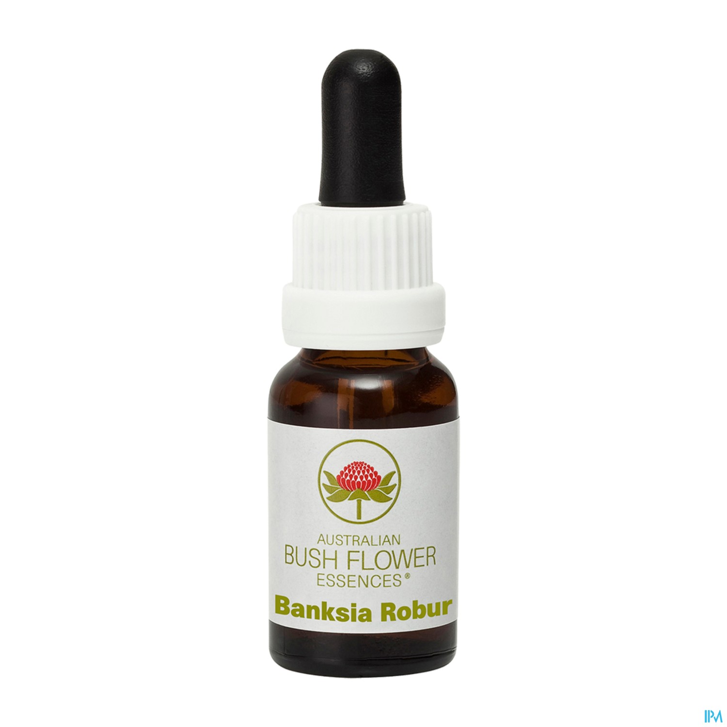 Aub Banksia Robur (15 ml)