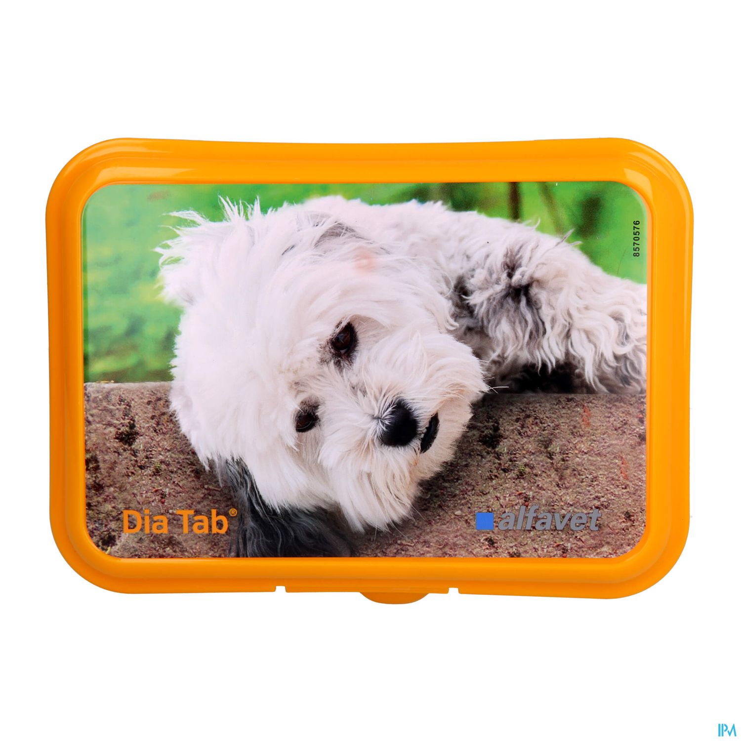 Ein weißer, flauschiger Hund liegt entspannt auf einem Steinhocker in einer grünen Umgebung.