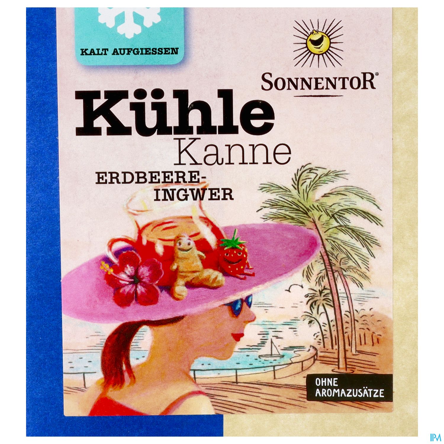 Sonnentor Kuehle Kanne Bio Erdbeer Ingwer Tee 08003 16st