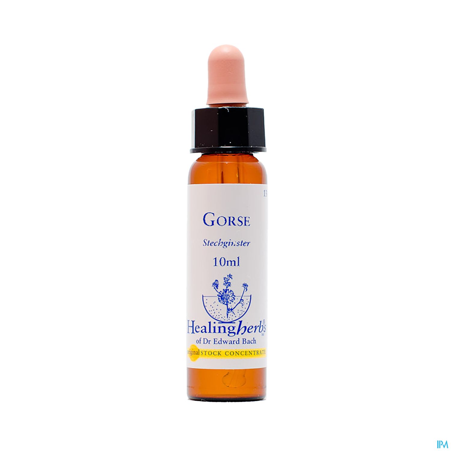 Flasche mit 10 ml Gorse Stechginster Essenz, Etikett mit Produktinformation und Pipette.