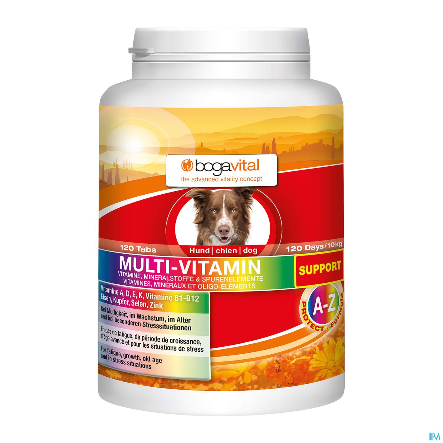 Nahrungsergänzungsmittel für Hunde in einer weißen Flasche mit orangem und rotem Etikett, beschriftet mit „MULTI-VITAMIN“ und „SUPPORT“.