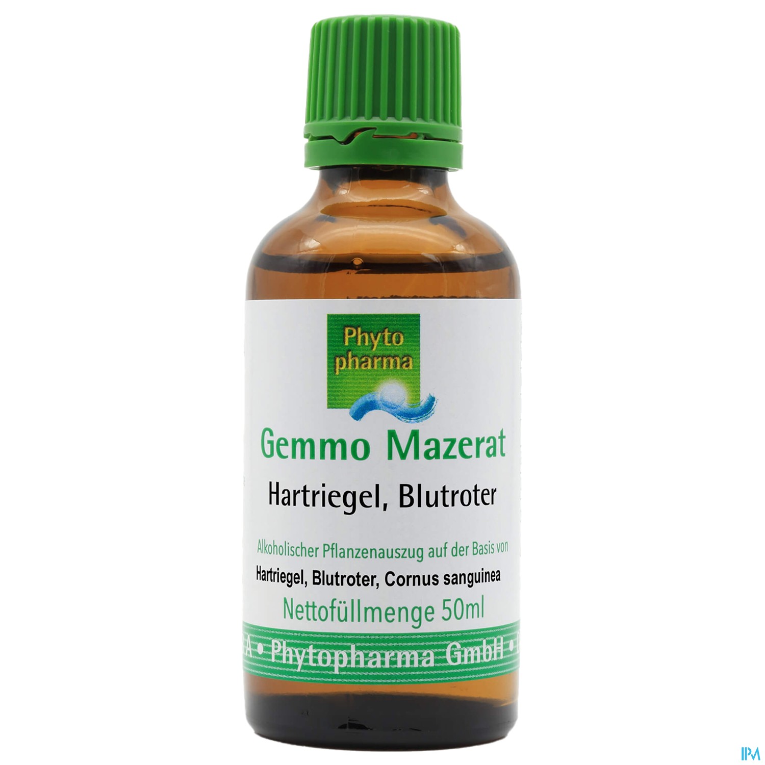 Gemmo Mazerat Hartriegel/blutrot Cornus Sanguinea Phytopharma 50ml
