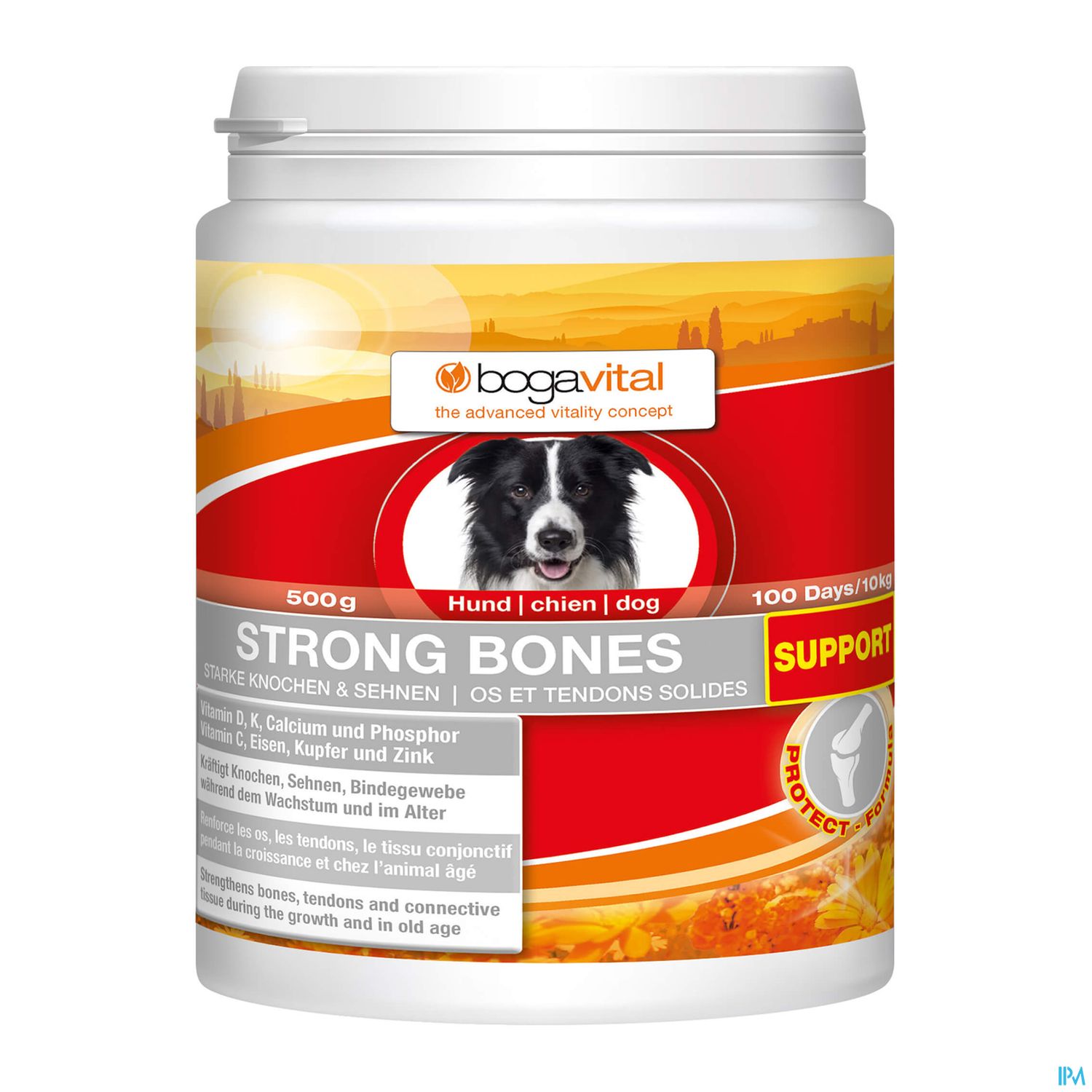 Weißer Behälter mit rotem und orangefarbenem Etikett, der das Produkt "Strong Bones" für Hunde darstellt, mit Angaben zu Inhaltsstoffen und Unterstützung für Knochen und Gelenke.