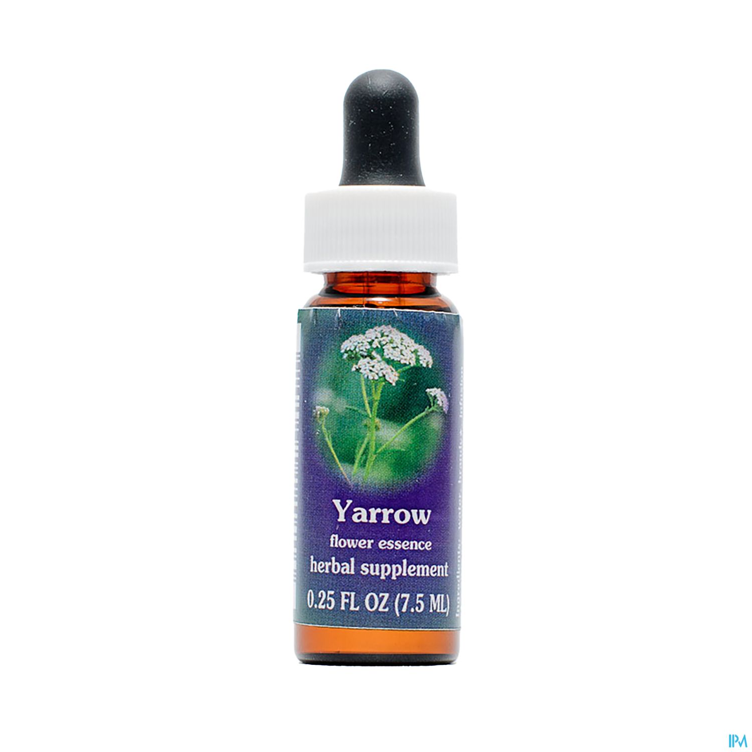Flasche mit Yarrow-Blütenessenz, 7,5 ml, mit Pipette und lila Etikett.
