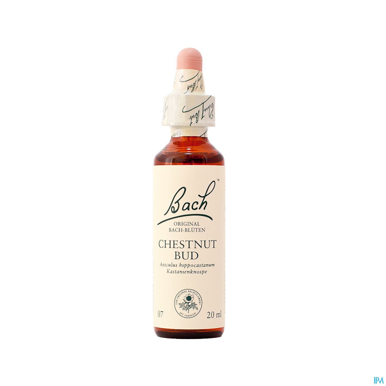 07 Chestnut Bud20 ml