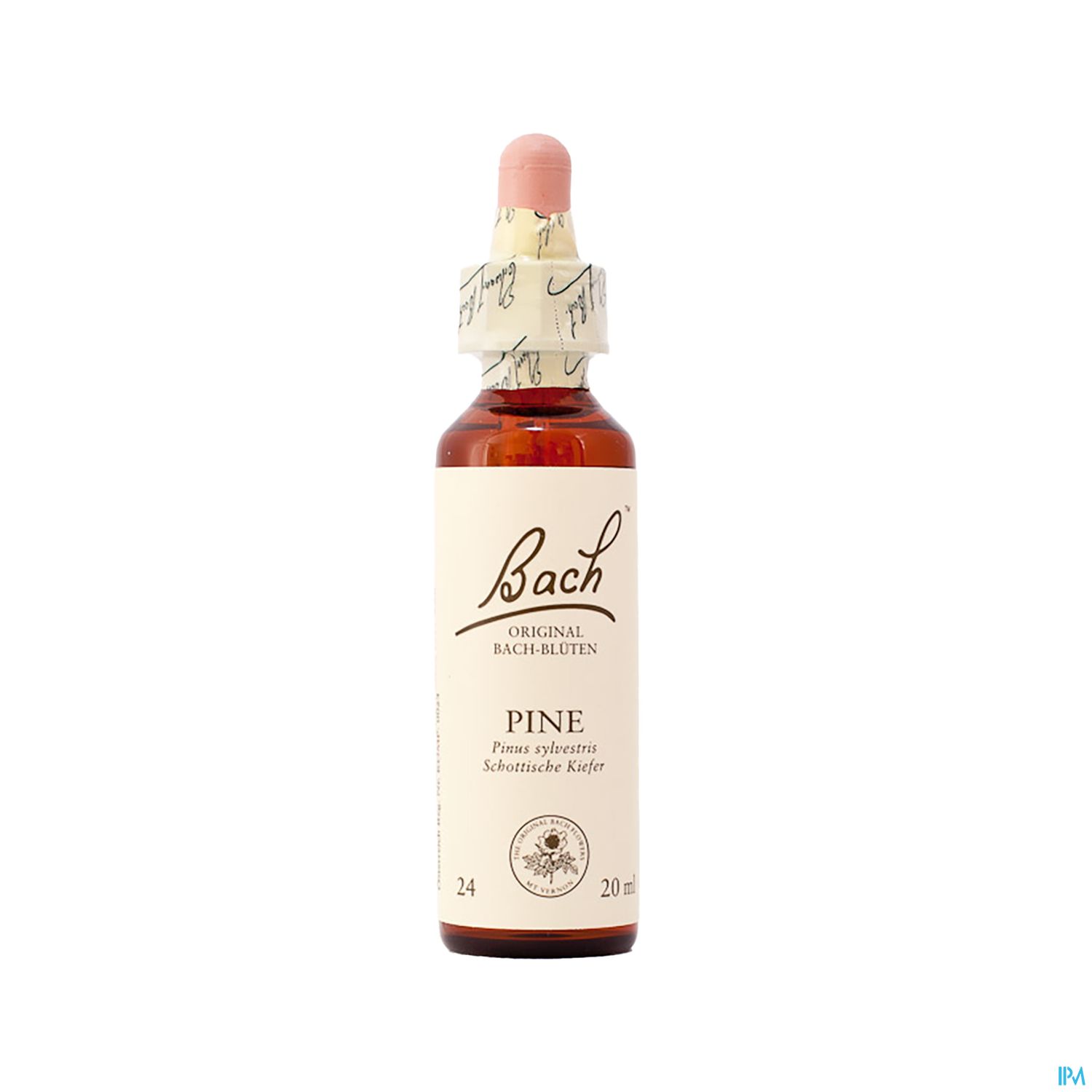 24 Pine20 ml