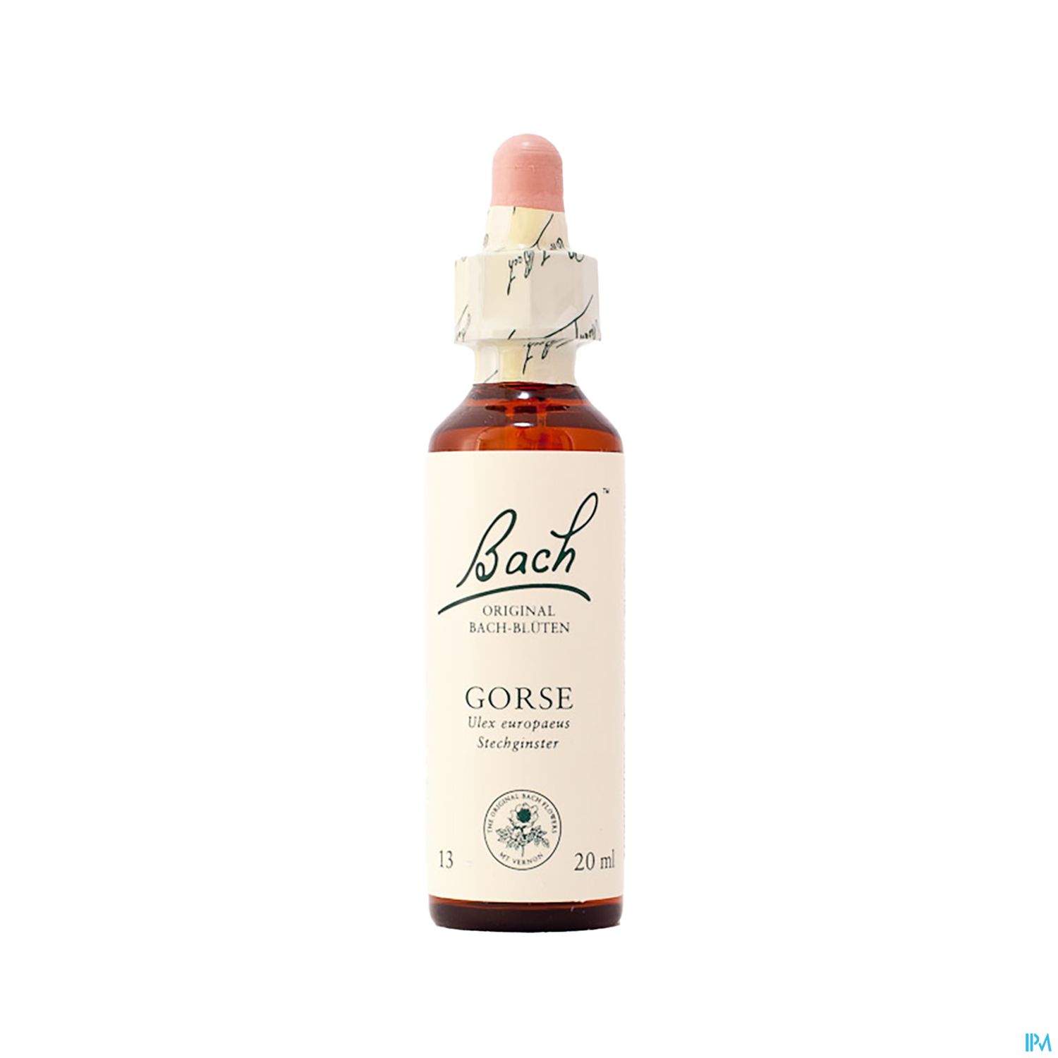 13 Gorse20 ml