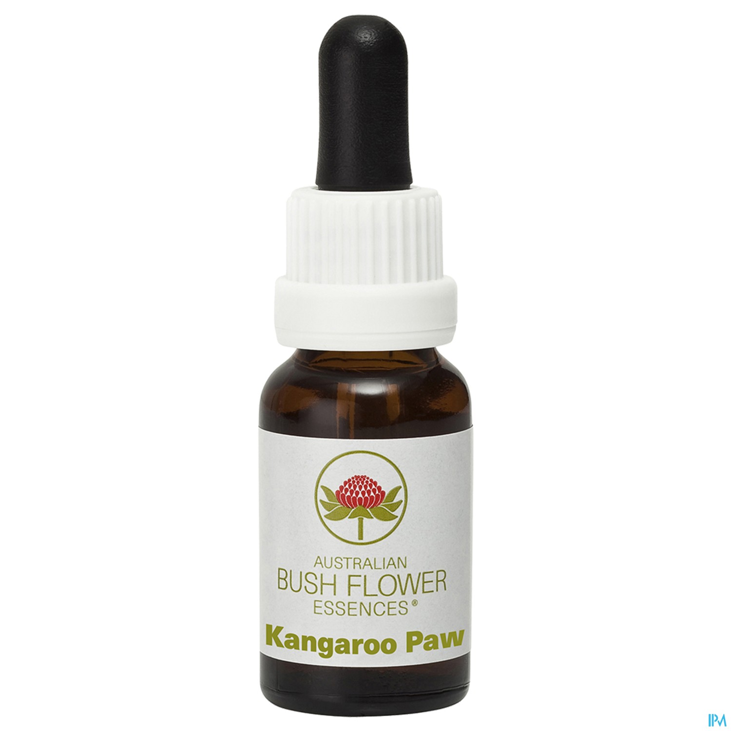 Aub Kangaroo Paw (15 ml)