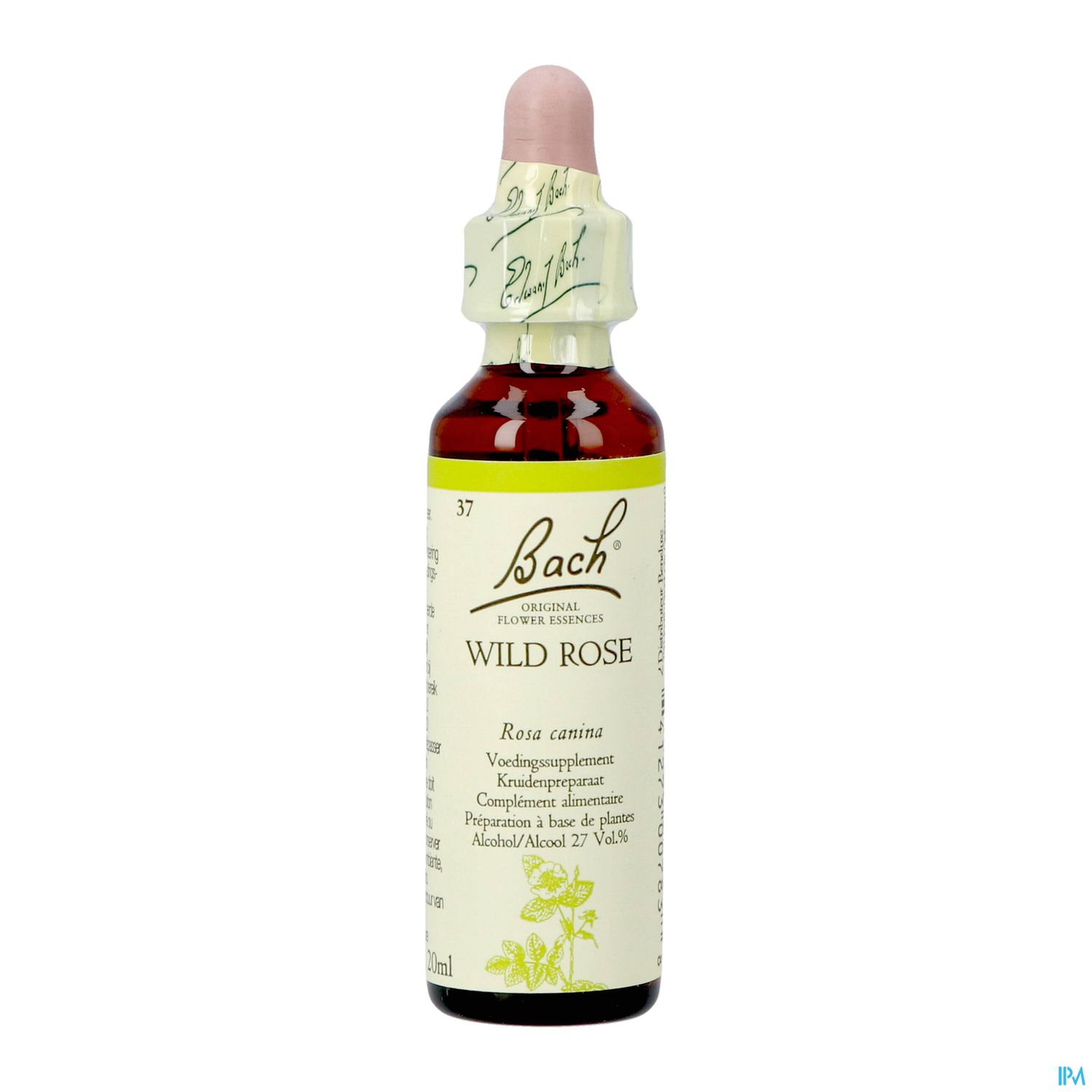 37 Wild Rose20 ml