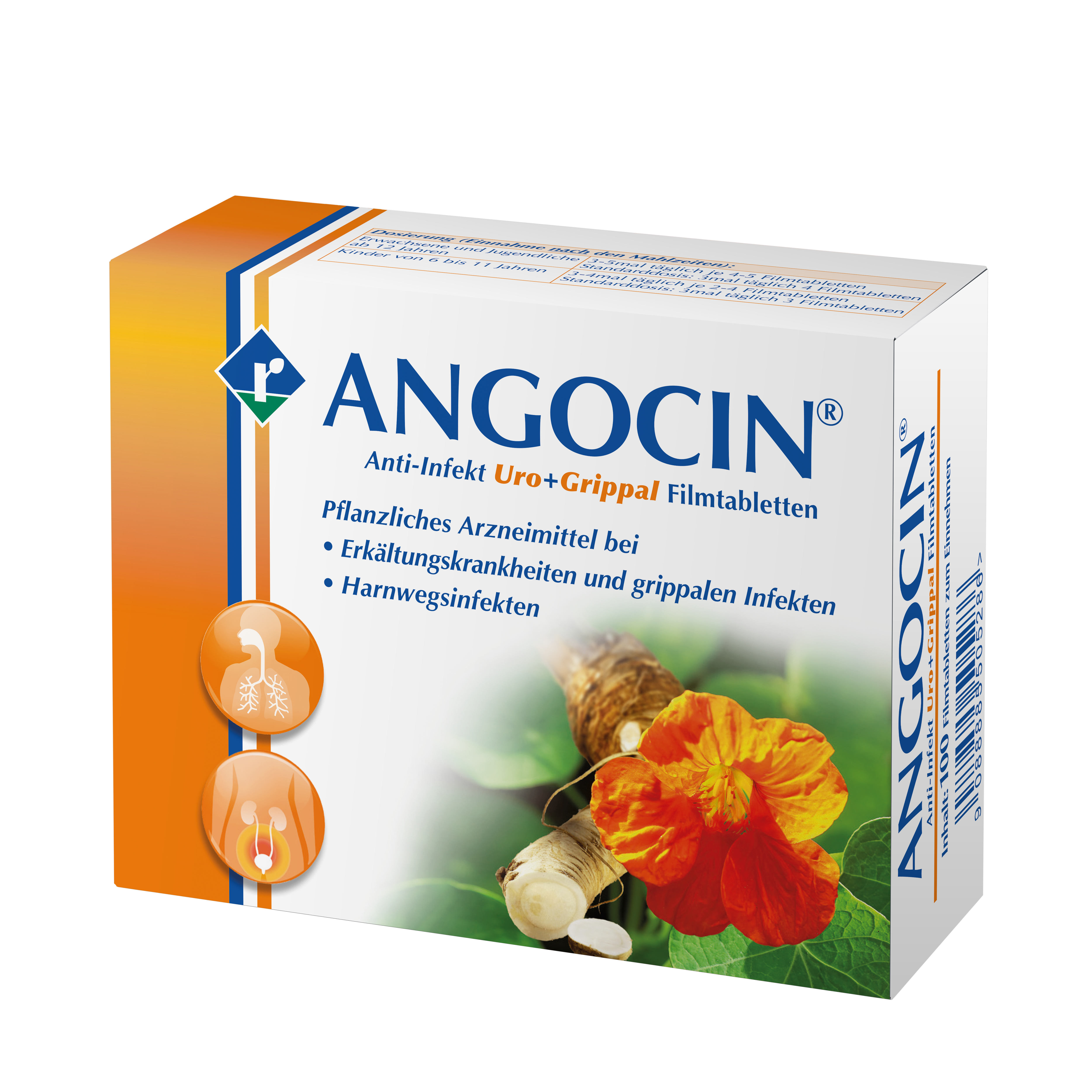 Angocin Anti-Infekt Uro+Grippal - Filmtabletten