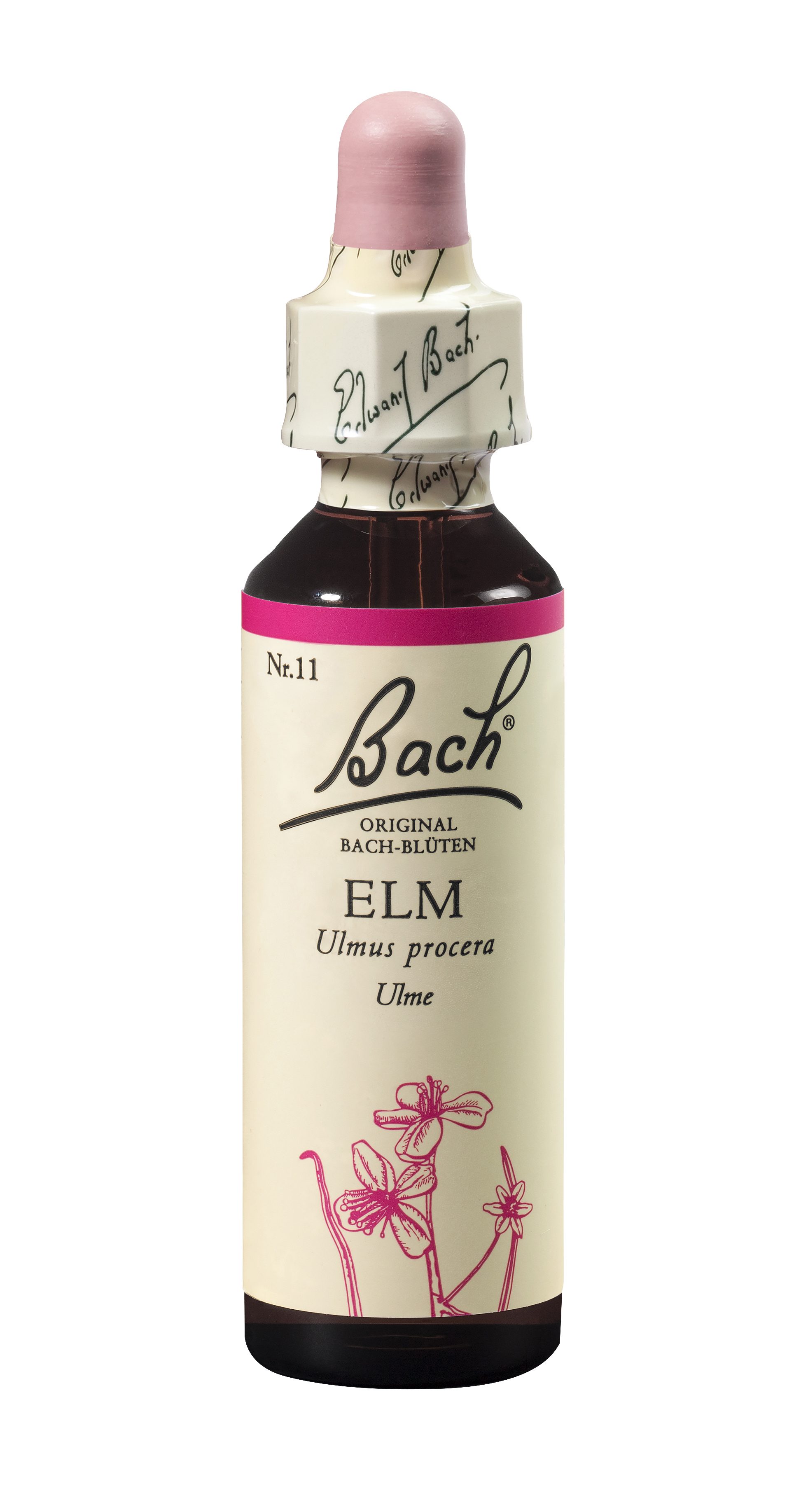 Bach®-Blüte Nr. 11 Elm (Ulme)