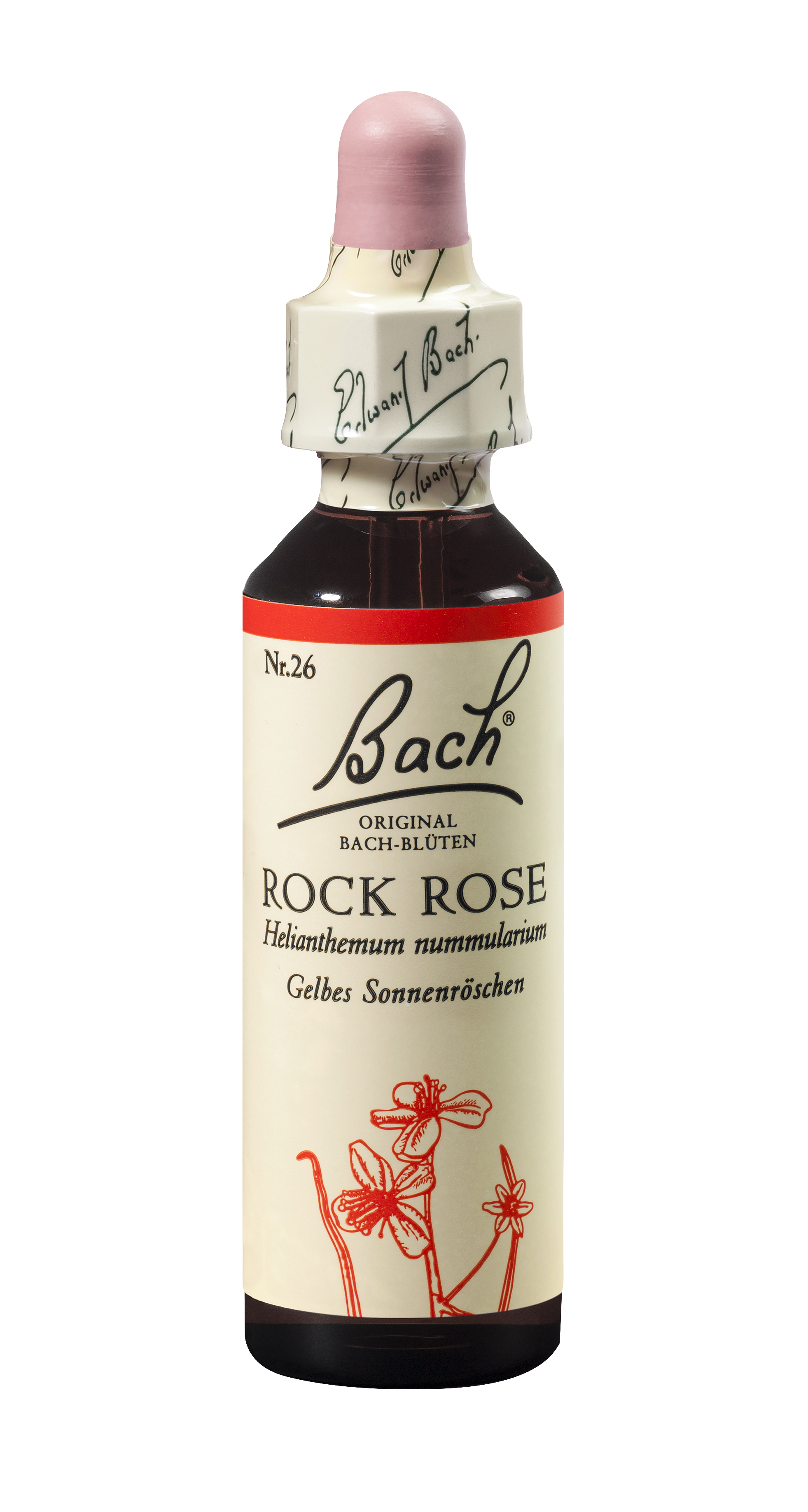Bach®-Blüte Nr. 26 Rock Rose (Gelbes Sonnenröschen)