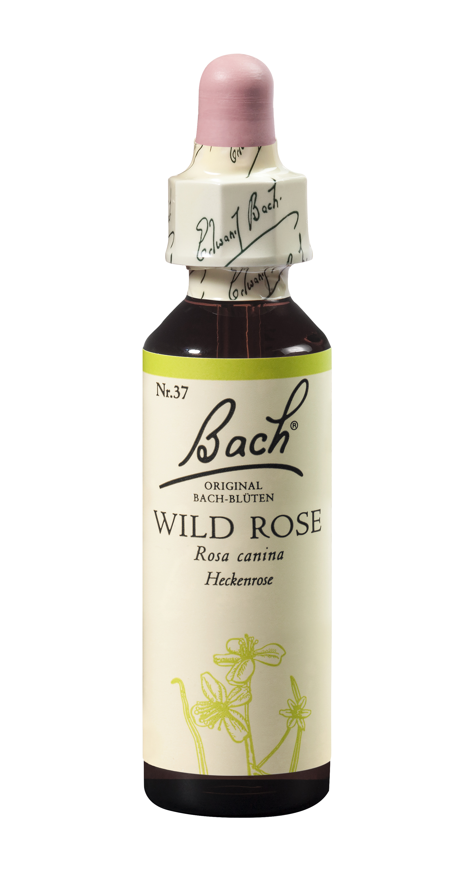 Bach®-Blüte Nr. 37 Wild Rose (Heckenrose)