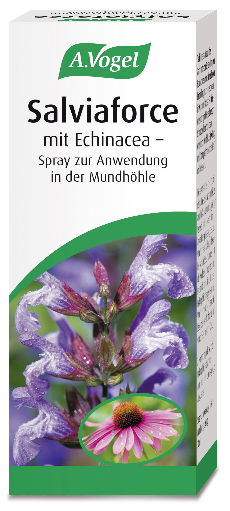 Salviaforce mit Echinacea - Spray zur Anwendung in der Mundhöhle