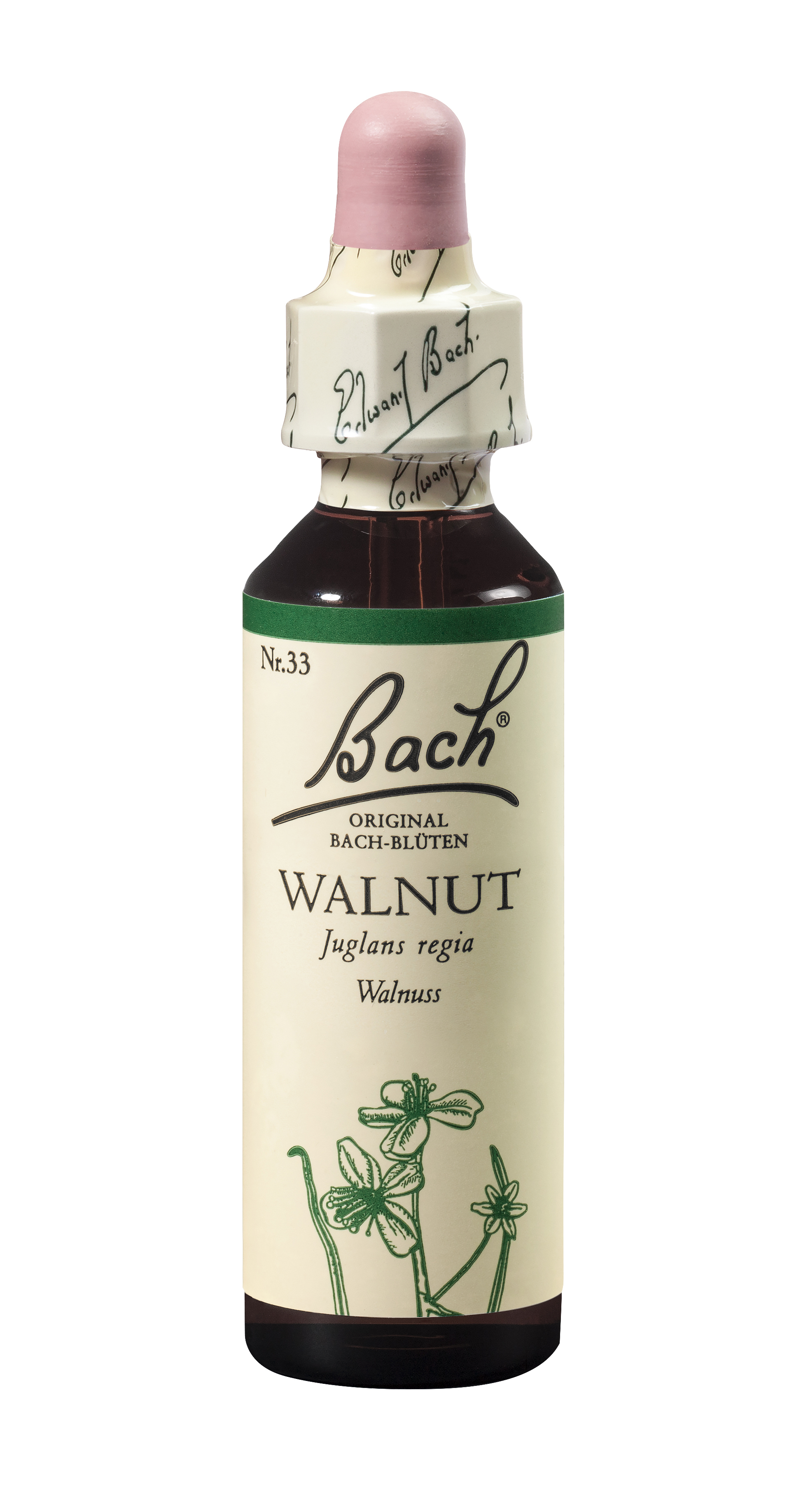 Bach®-Blüte Nr. 33 Walnut (Walnuss)